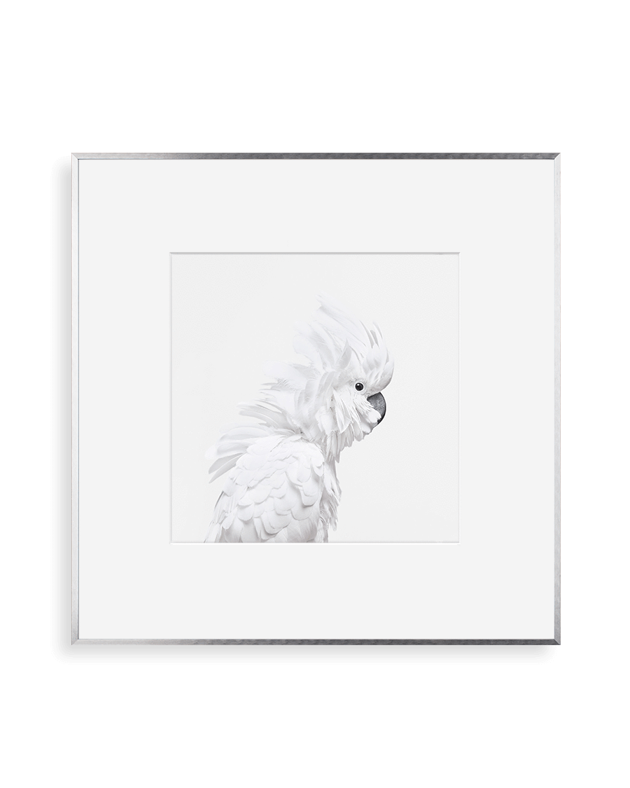 Metal - New School Silver Blackout