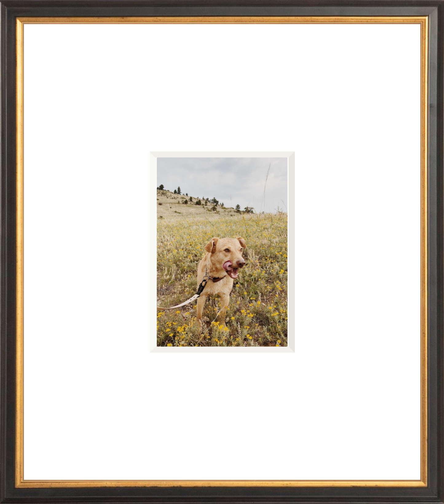 The Modern 14" x 16" Gift (Portrait)