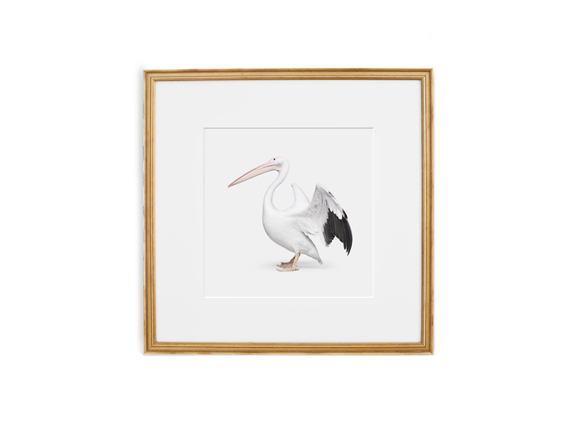 Simply Framed Certificate Frame Antique Gold featuring artwork by Randal Ford