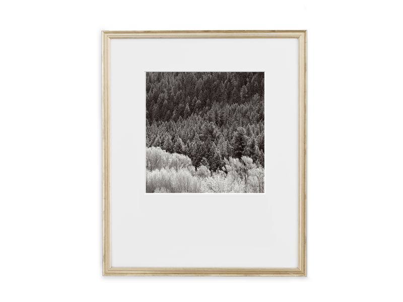 Simply Framed Certificate Frame Antique Silver featuring artwork by Drew Doggett