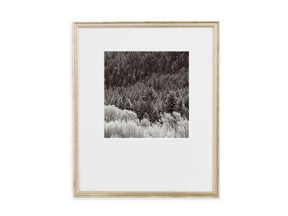 Simply Framed Certificate Frame Antique Silver featuring artwork by Drew Doggett