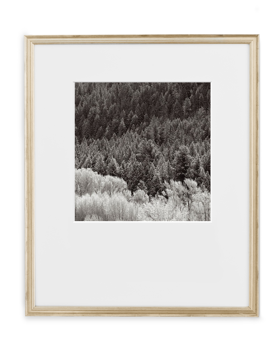 Simply Framed Certificate Frame Antique Silver featuring artwork by Drew Doggett