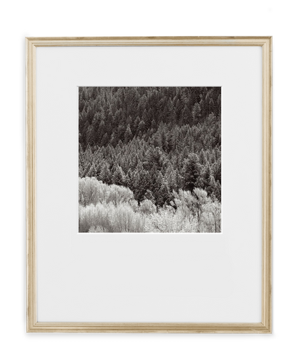 Simply Framed Certificate Frame Antique Silver featuring artwork by Drew Doggett