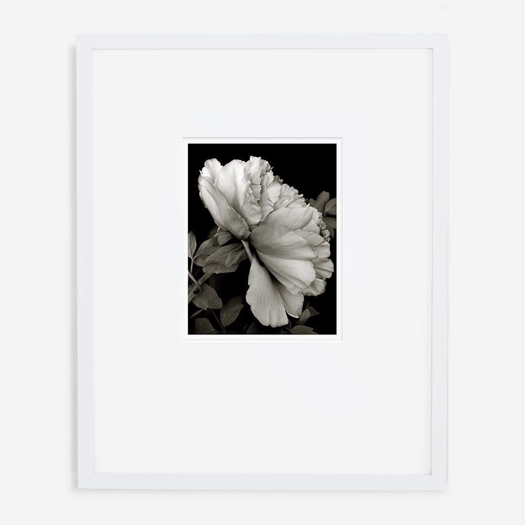The Shifted Stack by Permanent Press Editions