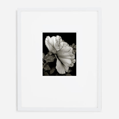 The Shifted Stack by Permanent Press Editions
