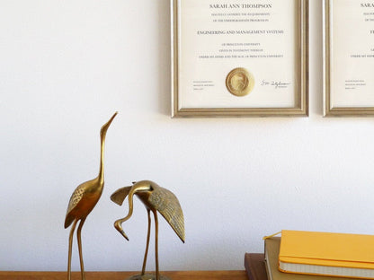 Simply Framed Certificate Frame Antique Silver featuring college diplomas in an interior