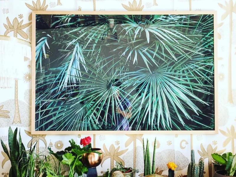 Simply Framed Gallery Frame Wide Natural featuring artwork by Justina Blakeney of The Jungalow in a home interior