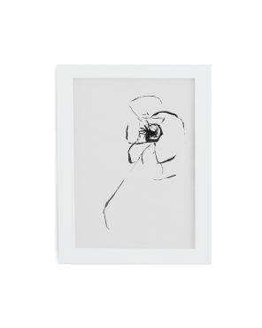 Photography Print